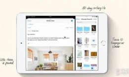迷你公司爆料视频大全,揭秘幕后故事与精彩瞬间